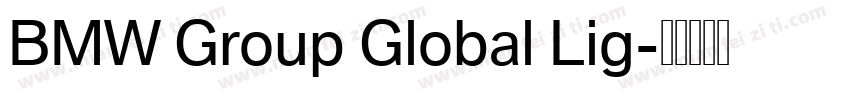 BMW Group Global Lig字体转换